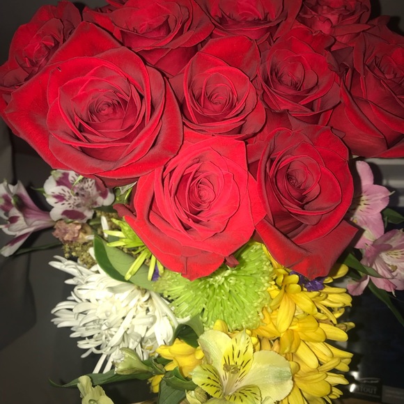 Meet your Posher, Mack - Picture 1 of 1